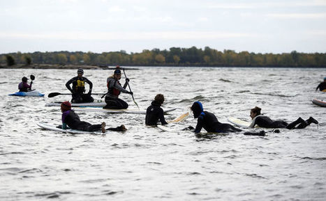 Surfeurs et kayakistes à la rescousse du fleuve | water news | Scoop.it