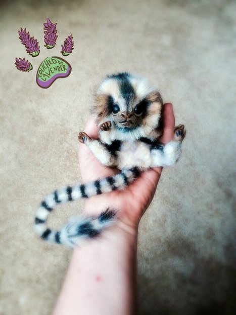 Tekka, Pygmy Marmoset Monkey Out of Upcycled Clothing, Polymer & Wire | 1001 Recycling Ideas ! | Scoop.it