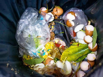 Food waste vs packaging waste: Striking a balance | Local delivery for Gene Directed Enzyme Prodrug Therapy | Scoop.it
