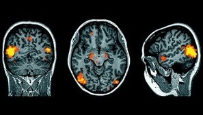 The Moral Brain | Science News | Scoop.it