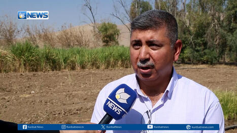 IRAQ:&nbsp;SRI (System of Rice Intensification) Field Day at Kani Panka Research Station- Directorate of Sulaimanayah Agriculture Research / Iraq | SRI Global News-- October-December 2025-- System of Rice Intensification (SRI) | Scoop.it