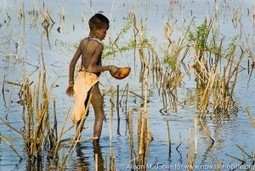 Solutions to the World Water Crisis Requires International Cooperation | BIODIVERSITY IS LIFE  – | Scoop.it