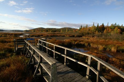 Marais du Nord: la nature aux portes de Québec | Zones humides - Ramsar - Océans | Scoop.it