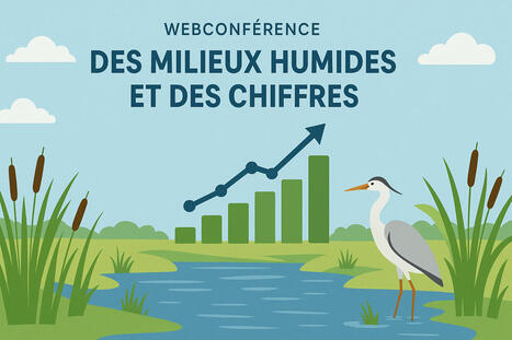 Webconférence : Des milieux humides et des chiffres - Centre de ressources Zones Humides | Biodiversité | Scoop.it
