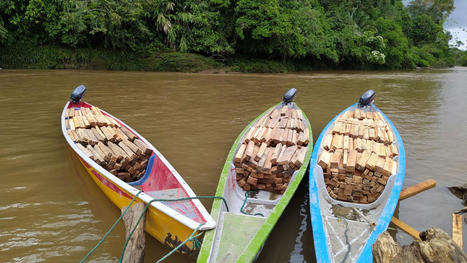 Deforestación: Los molinos de viento deforestan el Amazonas  | tecno4 | Scoop.it