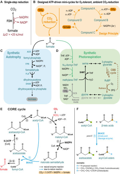 Design and implementation of aerobic and ambien...