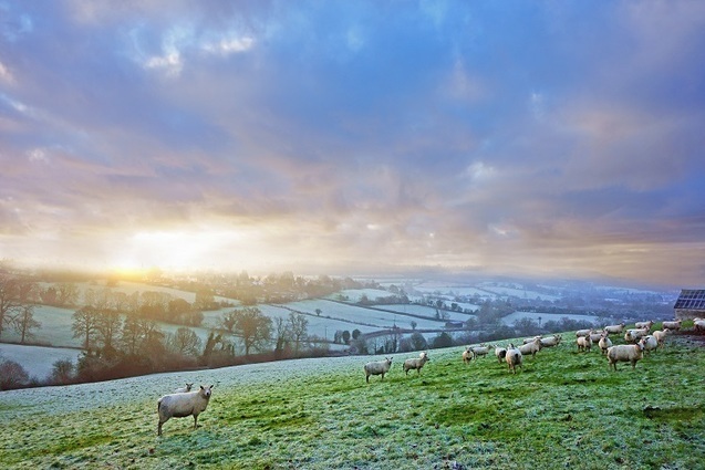 Agriculture Bill: UK to reward farmers for clean air, soils and water