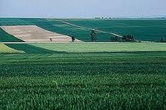 News Press - Action forte en faveur de la biodiversité francilienne : Le premier schéma régional de cohérence écologique est adopté en Île-de-France ! - Préfecture de la Région d'Ile de France | Paysage - Agriculture | Scoop.it