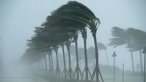 Tropical Storm Ana: First named storm of year leaves, but more to come | Coastal Restoration | Scoop.it