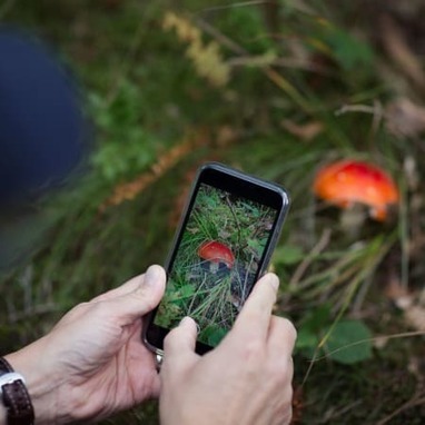 Pflanzen App: 4 praktische Apps zur Pflanzenerkennung | BYOD – Bring Your Own Device | Scoop.it