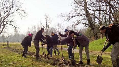 Lacroix-Falgarde. Chantier citoyen pour "favoriser les essences locales" au cœur de la réserve naturelle | Lacroix-Falgarde | Scoop.it