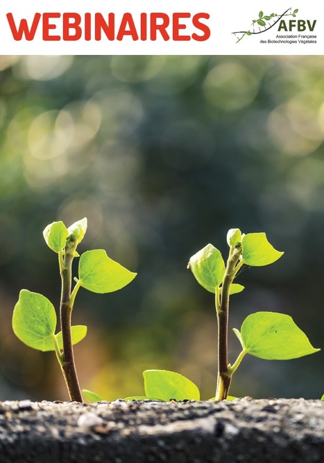 Webinaires AFBV 2021,&nbsp;&nbsp;Le microbiote associ&eacute; aux plantes : sa diversit&eacute;, ses interactions et l&rsquo;importance de ses relations avec les diff&eacute;rents v&eacute;g&eacute;taux&nbsp; | SEED-DREAM Lab info | Scoop.it