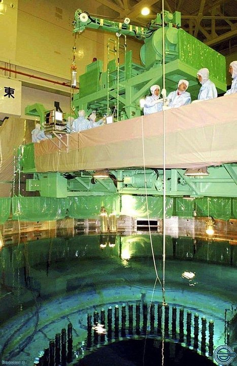 Voir Fukushima (21) | Contenu pour mon Blog | Scoop.it