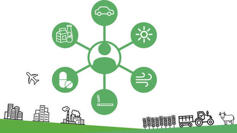 Exposome : prendre en compte les effets cumulés dans l’évaluation des risques pour la santé | EntomoScience | Scoop.it