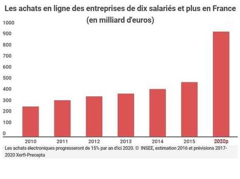 L'e-commerce BtoB fran&ccedil;ais va cro&icirc;tre de 15% par an jusqu'en 2020 | Transition Digitale de l'Entreprise | Scoop.it