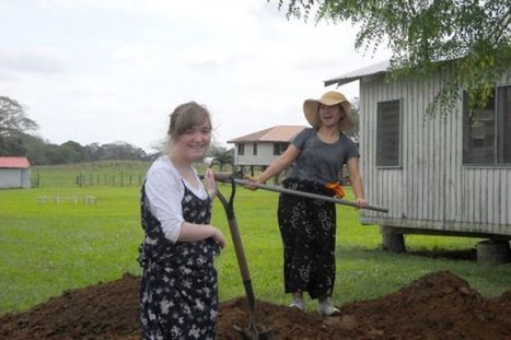 Student Group Helps at CDI | Cayo Scoop!  The Ecology of Cayo Culture | Scoop.it