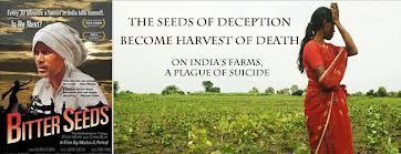 Monsanto and the Seeds of Suicide : Control over seed is the first link in the food chain | YOUR FOOD, YOUR ENVIRONMENT, YOUR HEALTH: #Biotech #GMOs #Pesticides #Chemicals #FactoryFarms #CAFOs #BigFood | Scoop.it