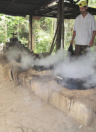 Ayahuasca para acabar con las drogas | #Campoo y Sur de #Cantabria | Scoop.it