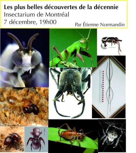 Insectarium de Montréal : Les plus belles découvertes de la décennie | Variétés entomologiques | Scoop.it