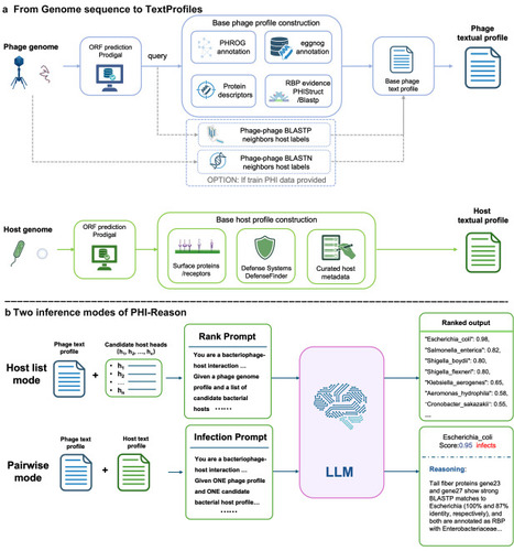 PHI-Reason: evidence-grounded species-level phage-host prediction from structured biological text profiles | brvai | RMH | Scoop.it
