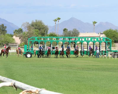 Regulator Suspends Skyfall 7, Turf Paradise's Permit - BloodHorse | Racing Regulatory Issues | Scoop.it