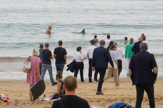 &laquo;&nbsp;Vous croyez que je vais la voir&nbsp;?&nbsp;&raquo;&nbsp;: la dauphine de la baie de Saint-Jean-de-Luz exauce le v&oelig;u de la ministre de la Mer et de la P&ecirc;che | Nouvelle-Aquitaine | Scoop.it