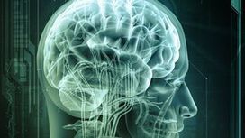 RTS Info | AFP 22/07/13 : "Mise au point de puces électroniques imitant le cerveau | Ce monde à inventer ! | Scoop.it