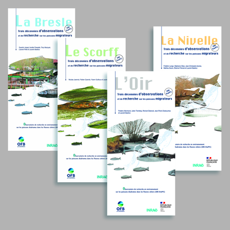 Trois décennies d'observations et de recherche sur les poissons migrateurs - Dépliants sur la Bresle, l'Oir, le Scorff et la Nivelle | Biodiversité | Scoop.it