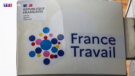 Fraudes aux allocations chômage : le Sénat autorise l'accès aux données personnelles des bénéficiaires ... | Veille #Cybersécurité #DCIT Conseil | Scoop.it