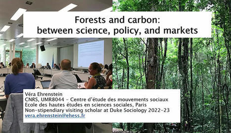 Forest and carbon: between science, policy, and markets | Ecosystèmes Tropicaux | Scoop.it