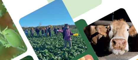 Terres Inovia : le rapport d&rsquo;activit&eacute; 2024-2025 est disponible ! | ITERG - Veille sectorielle | Scoop.it