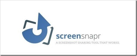 Take And Save Screenshots Online Or To Personal Server With ScreenSnapr | Digital Presentations in Education | Scoop.it