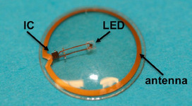 Researchers Build Terminator Contact Lens | 21st Century Innovative Technologies and Developments as also discoveries, curiosity ( insolite)... | Scoop.it