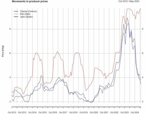 OLIVE SECTOR STATISTICS – MAY/JUNE 2025 | OLIVE NEWS | Scoop.it