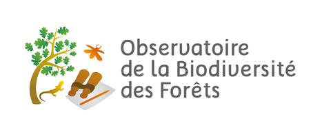 Observatoire de la Biodiversité des Forêts : La lettre d'info n°14 - Juin 2015 | Insect Archive | Scoop.it