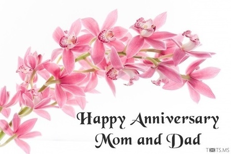 40 Anniversary Wishes For Parents Happy Anniv