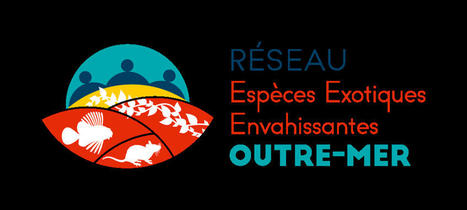 Lettre d'actualités espèces exotiques envahissantes outre-mer - Juillet 2021 | Biodiversité | Scoop.it
