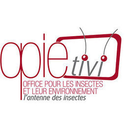 OpieTiVi, l'antenne des insectes | Insect Archive | Scoop.it