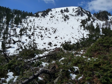 A propos de la grosse avalanche survenue cet hiver au Monpelat (1) | Le blog de Michel BESSONE | Vallées d'Aure & Louron - Pyrénées | Scoop.it