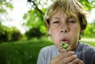 Allergies: Serious Hidden Health Risk for Obese Children | Allergy (and clinical immunology) | Scoop.it