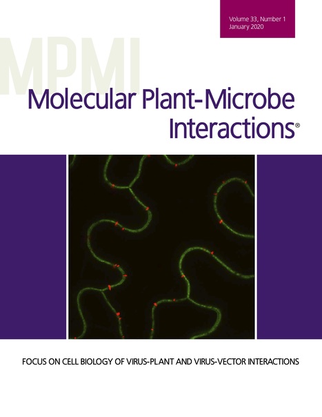 MPMI: Focus on Cell Biology of Virus-Plant and Virus-Vector Interactions (2020) | Plants and Microbes | Scoop.it