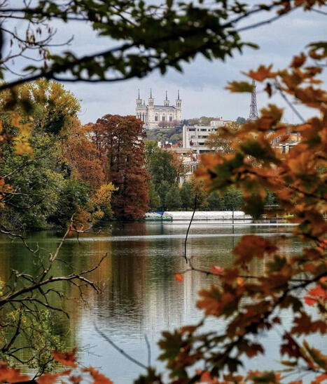 Lyon City Crunch - 10 activit&eacute;s &agrave; faire absolument &agrave; Lyon cet automne 2025 - 15.10.2025 | Le Sucre - revue de presse | Scoop.it