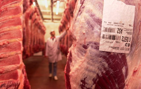 Inspecteurs de viande : Quand les vétérinaires tournent le dos à l’Afsca | La Gazette des abattoirs | Scoop.it