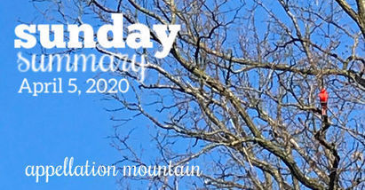 Sunday Summary: Baby Barbara | Name News | Scoop.it