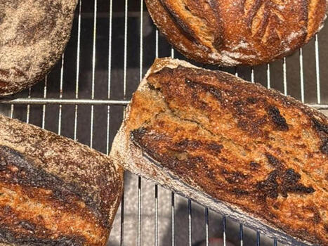 Beredskapsbröd: Så ska storköken rädda brist på bröd i krigstid | 1Uutiset - Lukemisen tähden | Scoop.it