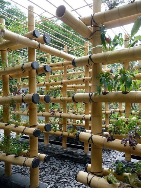 Vertical Gardening | Eco-Friendly Lifestyle | Scoop.it