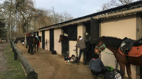 La baisse de la TVA pour les centres &eacute;questres fait esp&eacute;rer le secteur | Conseil et expertise comptable - fiscalit&eacute; - juridique | Scoop.it