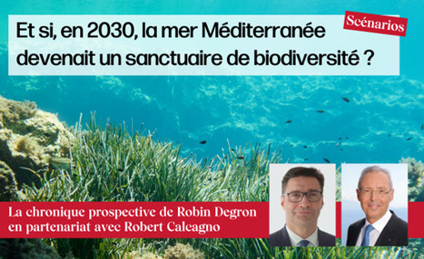DURABILITES : Et si, en 2030, la mer Méditerranée devenait un sanctuaire de biodiversité ? | DURABILITES | Scoop.it
