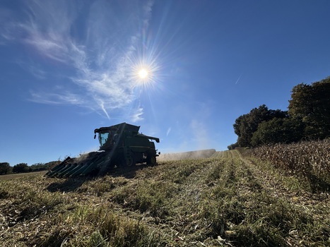 FOOD: Tate & Lyle drives regenerative agriculture to build climate-resilient supply chain | ALIMENTATIONS | Scoop.it