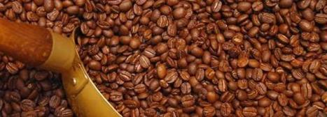 Le café et le cacao au plus haut depuis deux ans | Questions de développement ... | Scoop.it